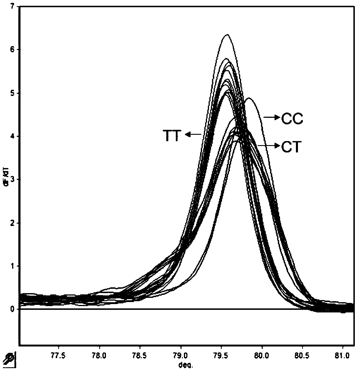 High resolution melting (HRM) typing primer for detecting rs 909253 locus and application of HRM typing primer