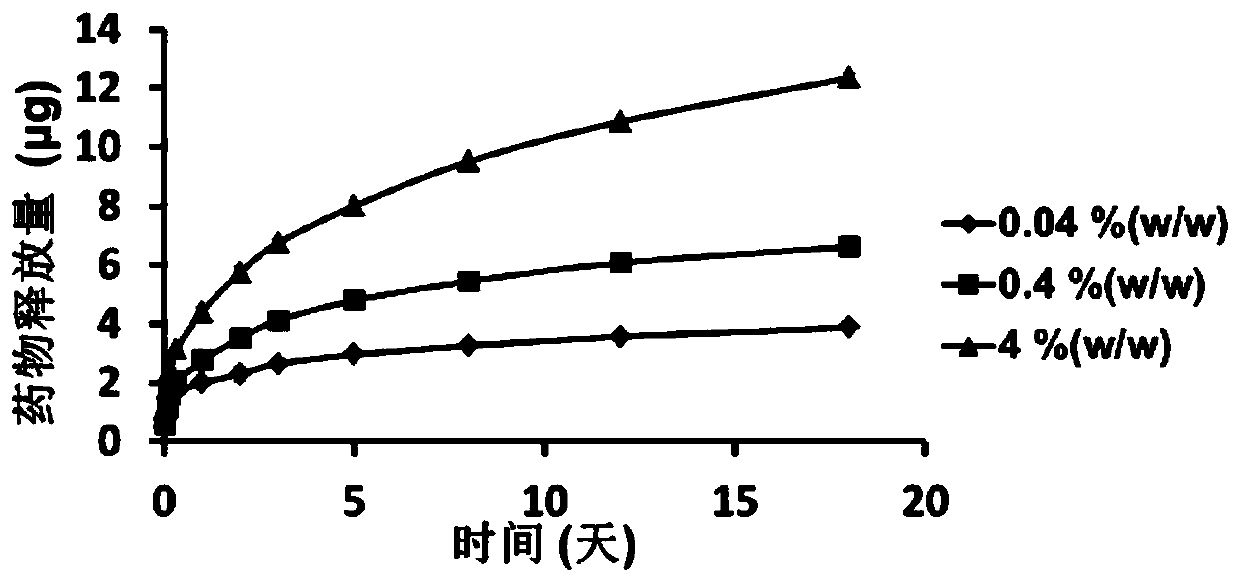 Double-layer composite drug-loading adhering patch and preparation method and application thereof