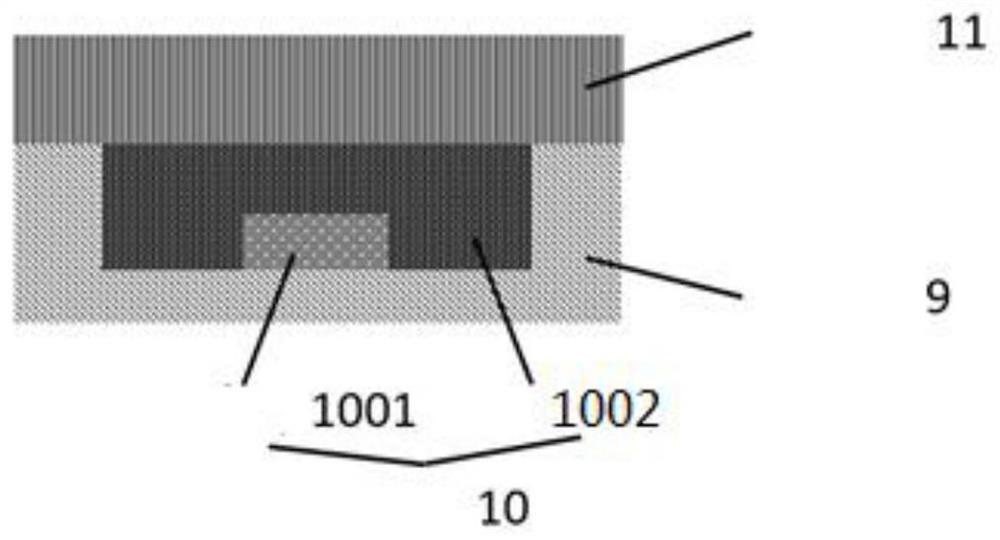 Electrode, signal detection system, hydrogel applied to electrode and preparation method thereof