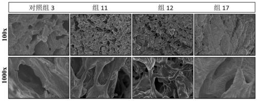 Bioadhesive temperature-sensitive material, preparation method thereof and application of drug carrier