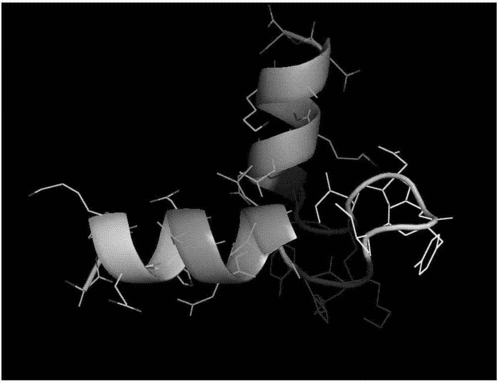 Litopenaeus vannamei haemocyanin antibacterial peptide and applications thereof