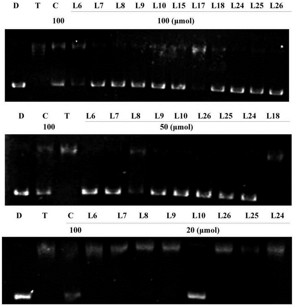 Preparation of quinoline-based derivative, and applications of quinoline-based derivative in anti-inflammation