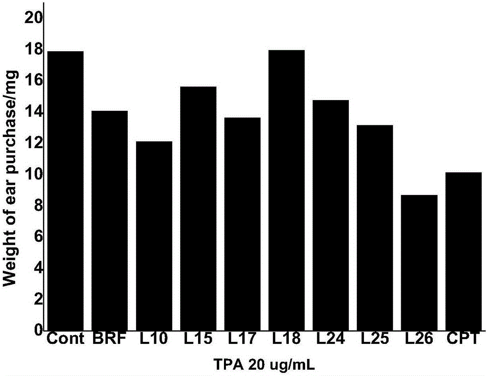 Preparation of quinoline-based derivative, and applications of quinoline-based derivative in anti-inflammation