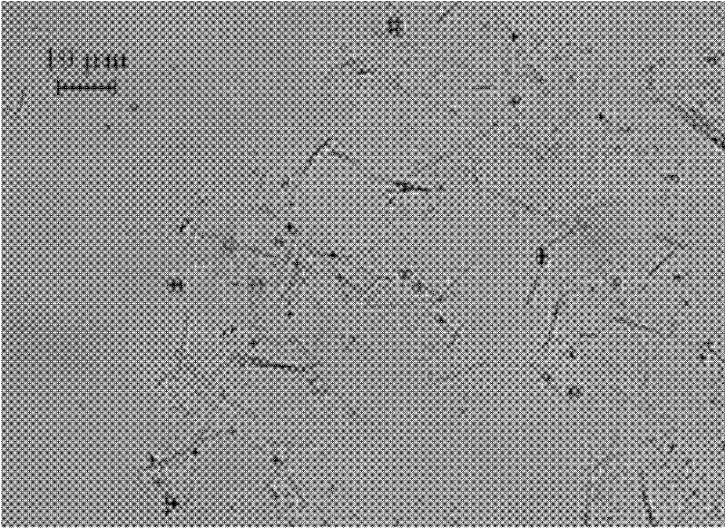 Method for comprehensively recovering aluminum, silicon and titanium from pyrite tailings