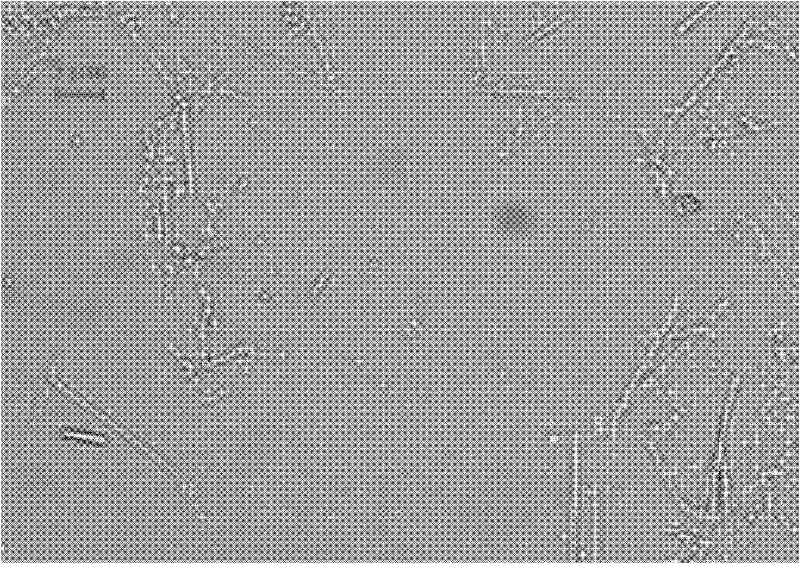 Method for comprehensively recovering aluminum, silicon and titanium from pyrite tailings