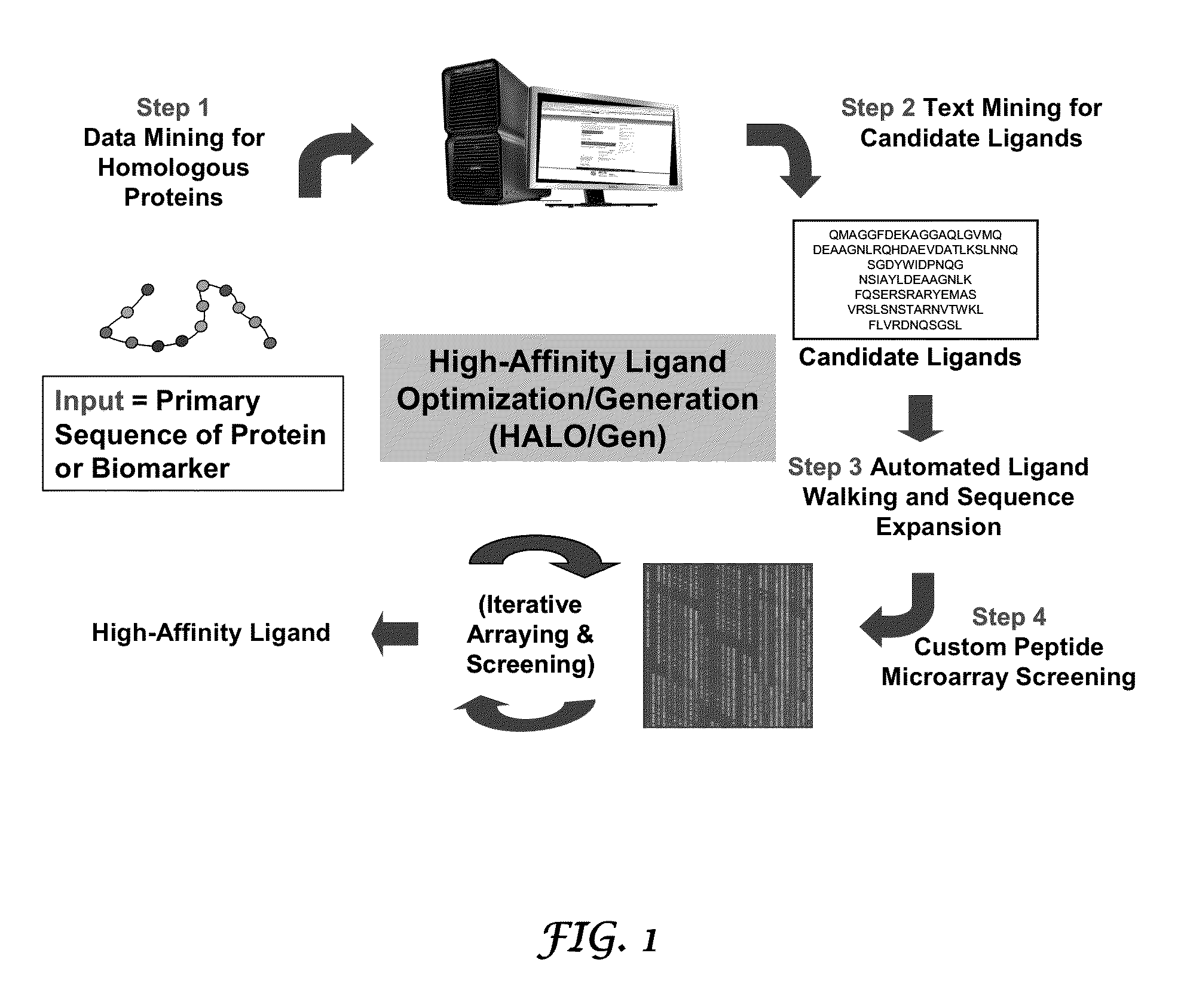 Methods for discovering molecules that bind to proteins