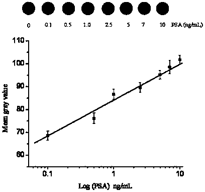 Application of biosensing test paper based on N, N'-bis (trimethoxy silicyl propyl)-glutarimide