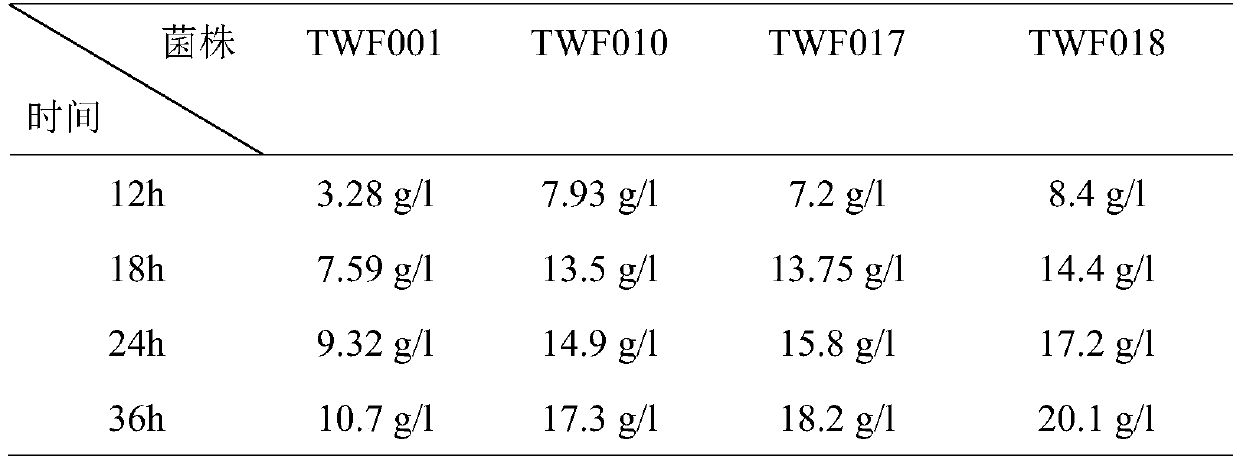 Construction method and application of high-yield L-threonine gene engineering bacterium