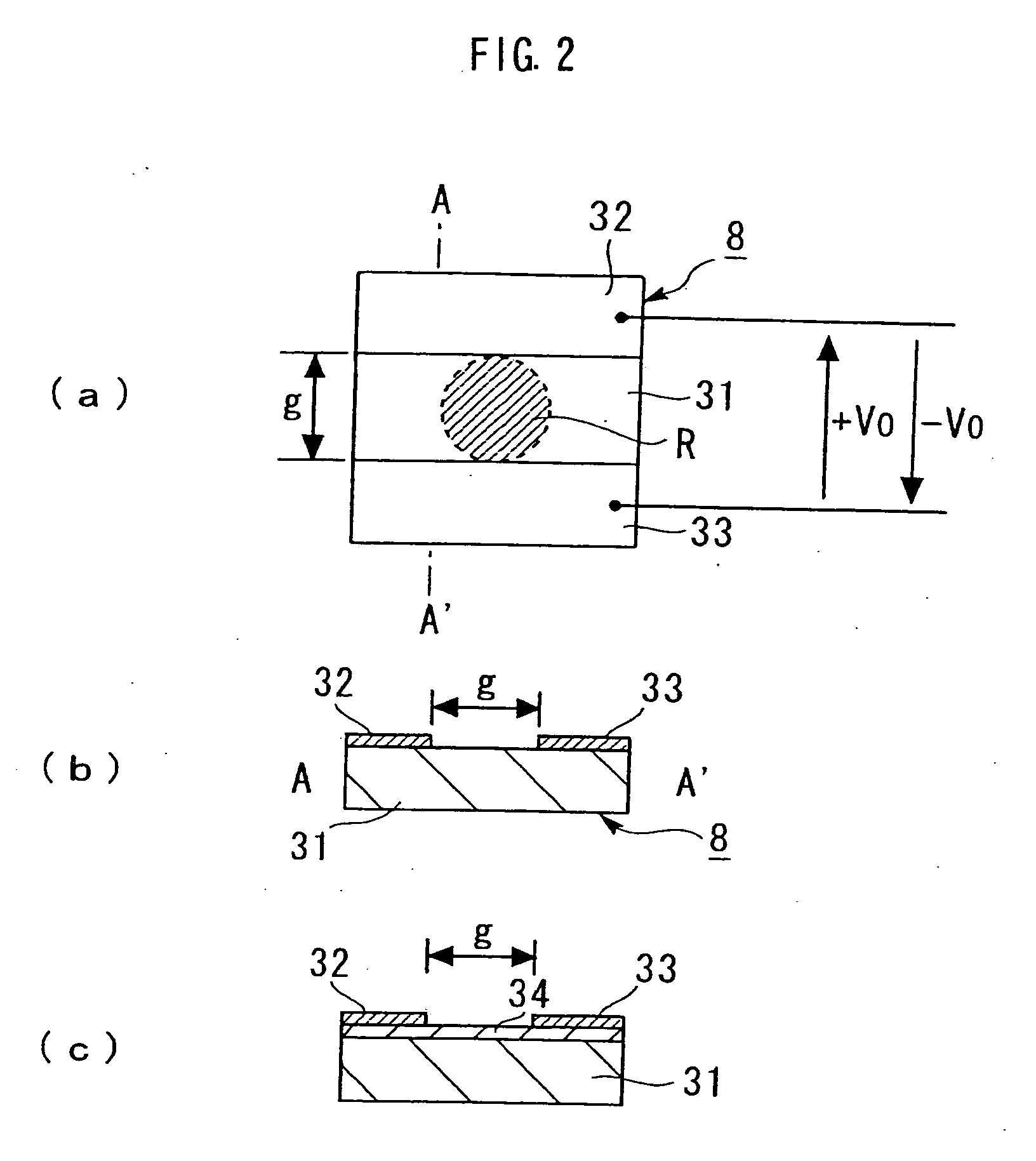 Terahertz light apparatus