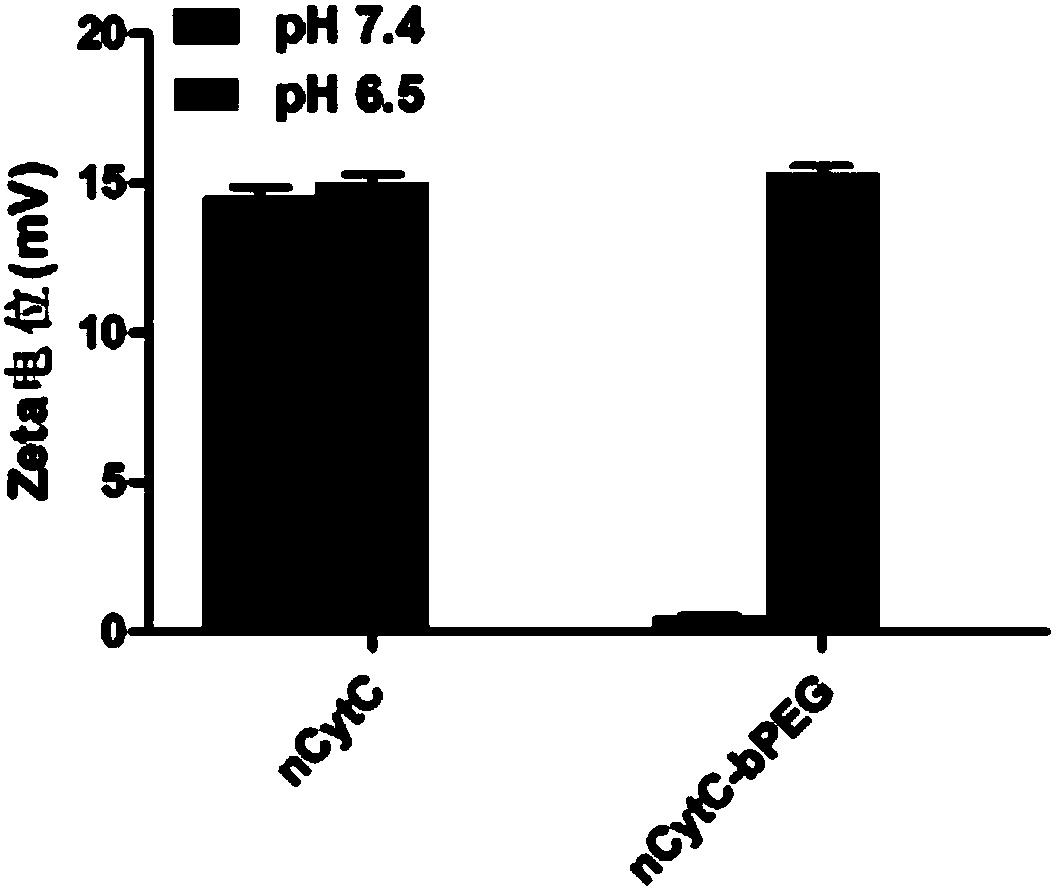 Acid-sensitive nanometer protein gel based on cytochrome C as well as preparation method and application thereof