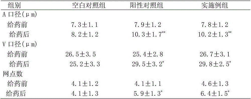 Traditional Chinese medicine composition for treating gout, traumatic injury and arthralgia