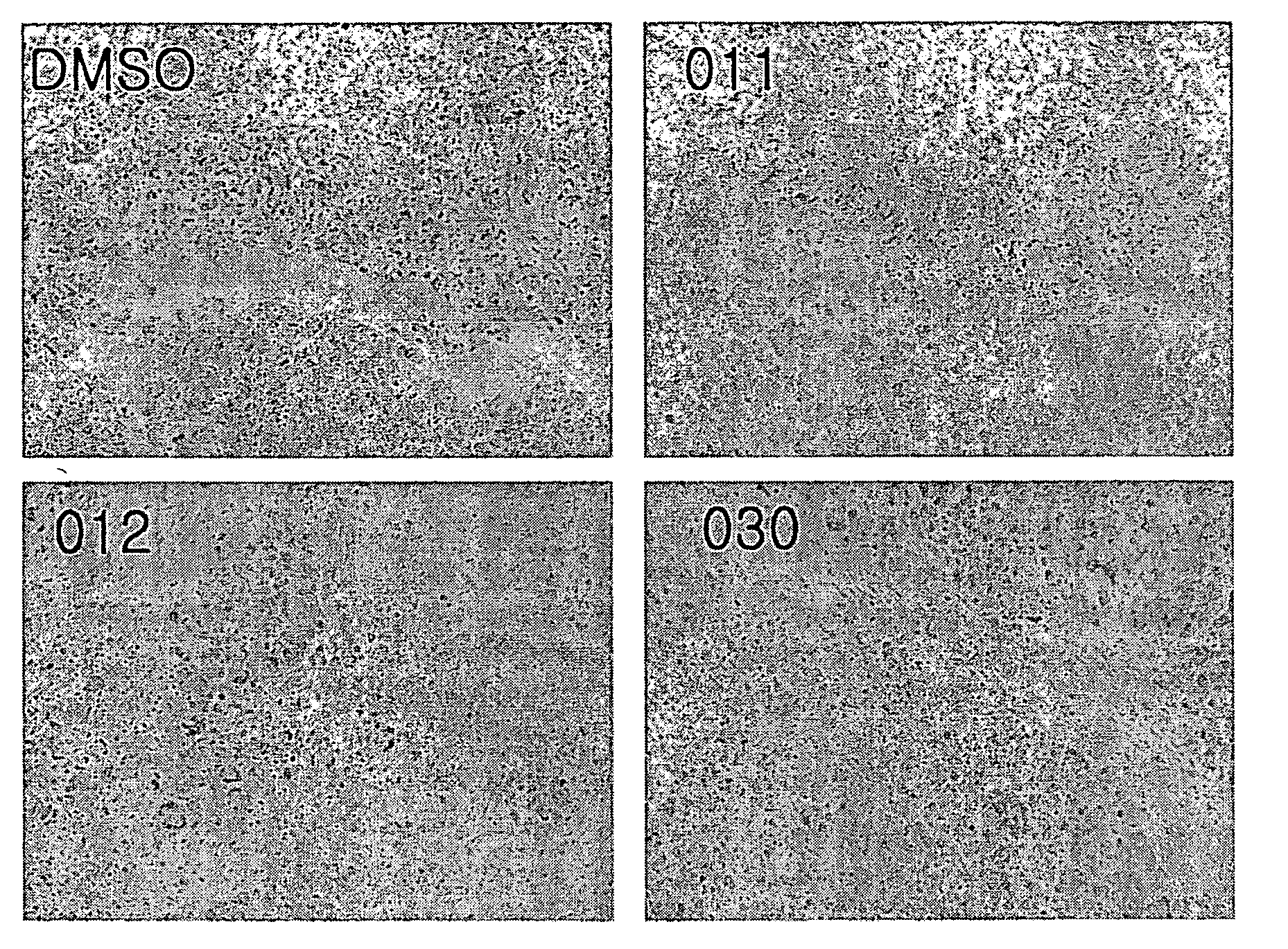 Indirubin derivatives having anticancer property against human cancer cell line