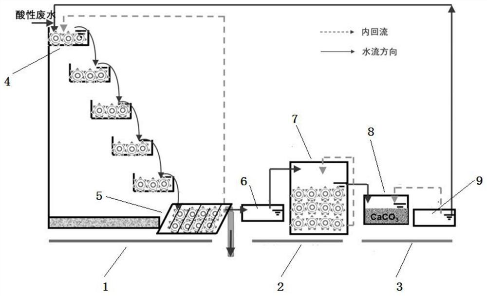 Method for biologically treating acidic mine wastewater and recovering iron ions and system thereof