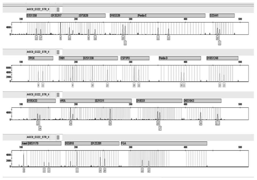 A kind of human normal corneal epithelial cell and its application