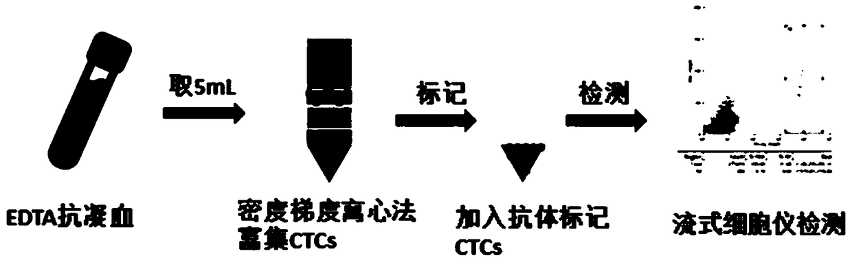 A rapid detection kit for circulating tumor cells