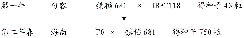 A kind of breeding method of high seed setting rate rice