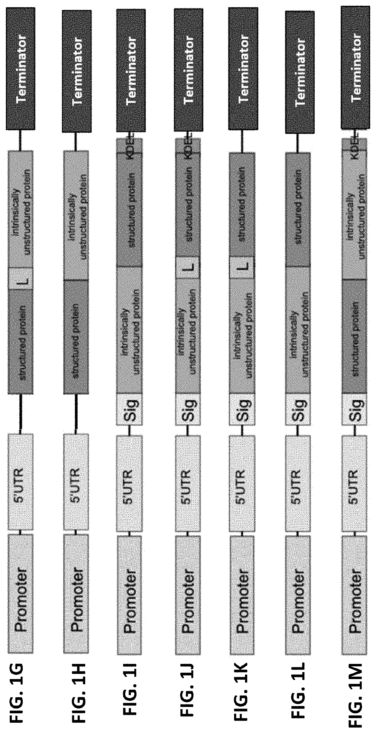 Recombinant fusion proteins for producing milk proteins in plants