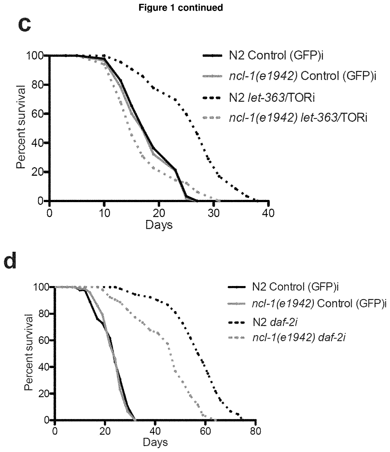 Novel biomarker of ageing