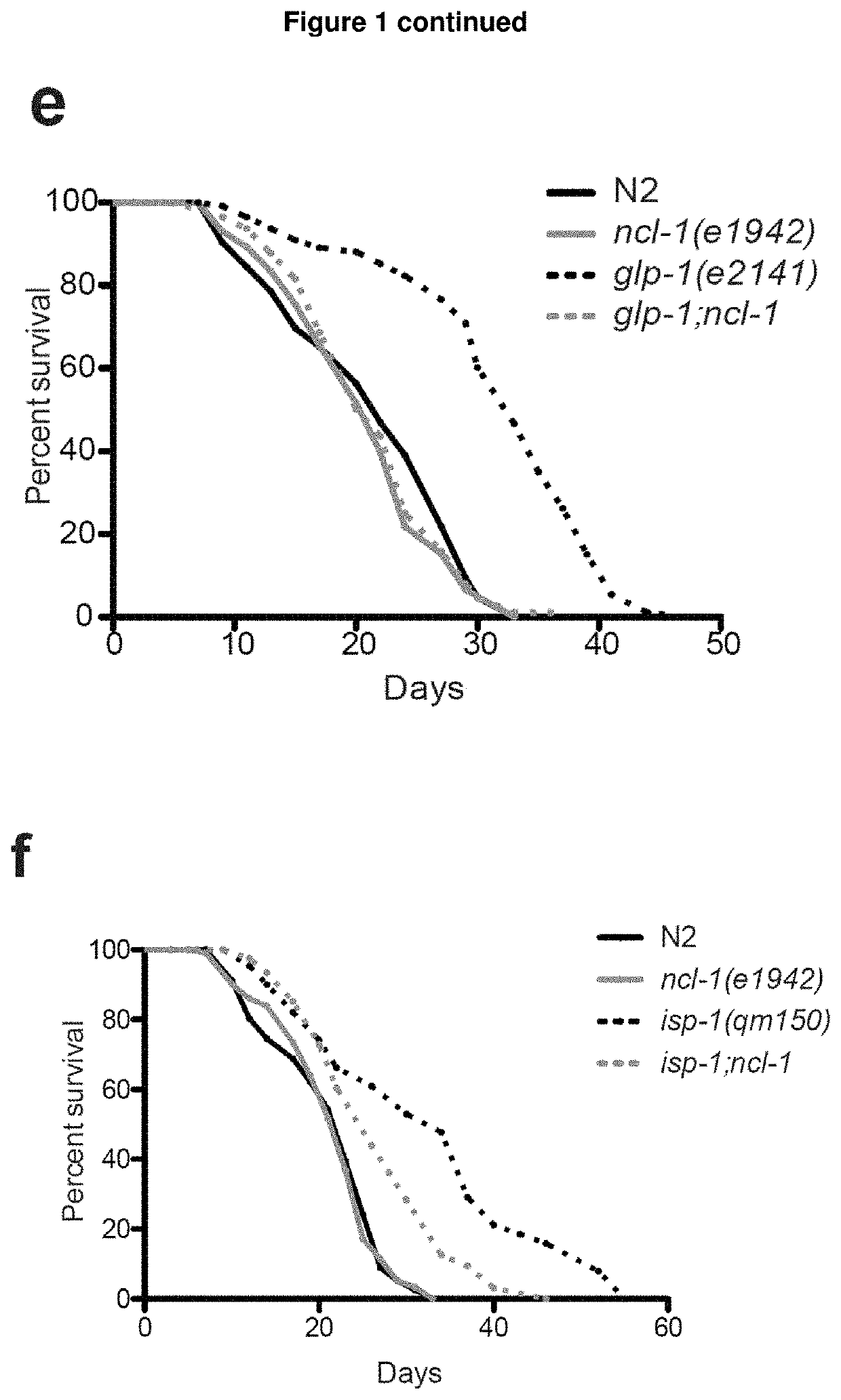 Novel biomarker of ageing