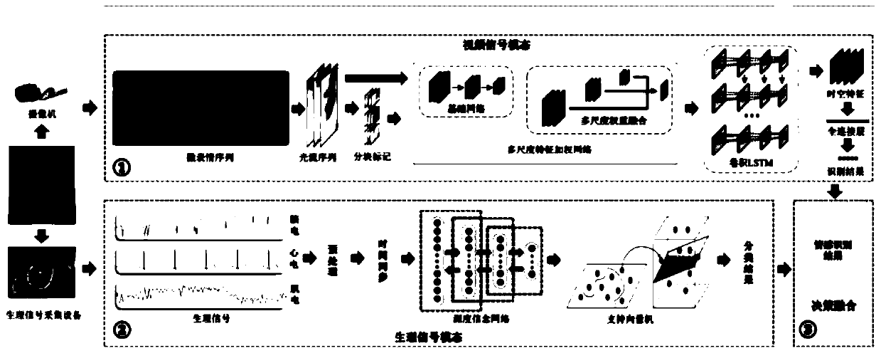 Emotion analysis method and system