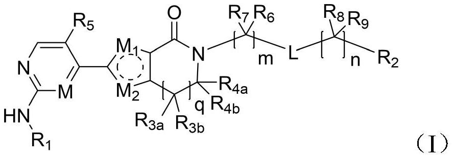 A class of aromatic heterocyclic lactam compounds, preparation method and use