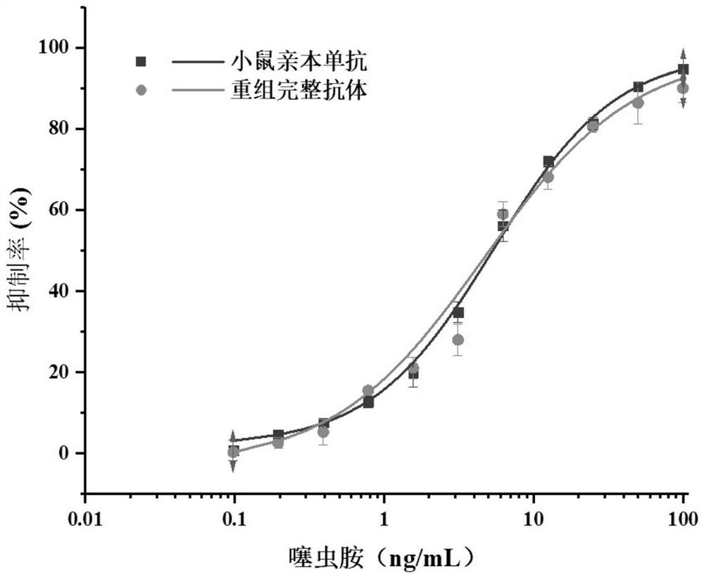 The variable region sequence of a specific anti-clothianidin antibody and the preparation and application of its recombinant complete antibody