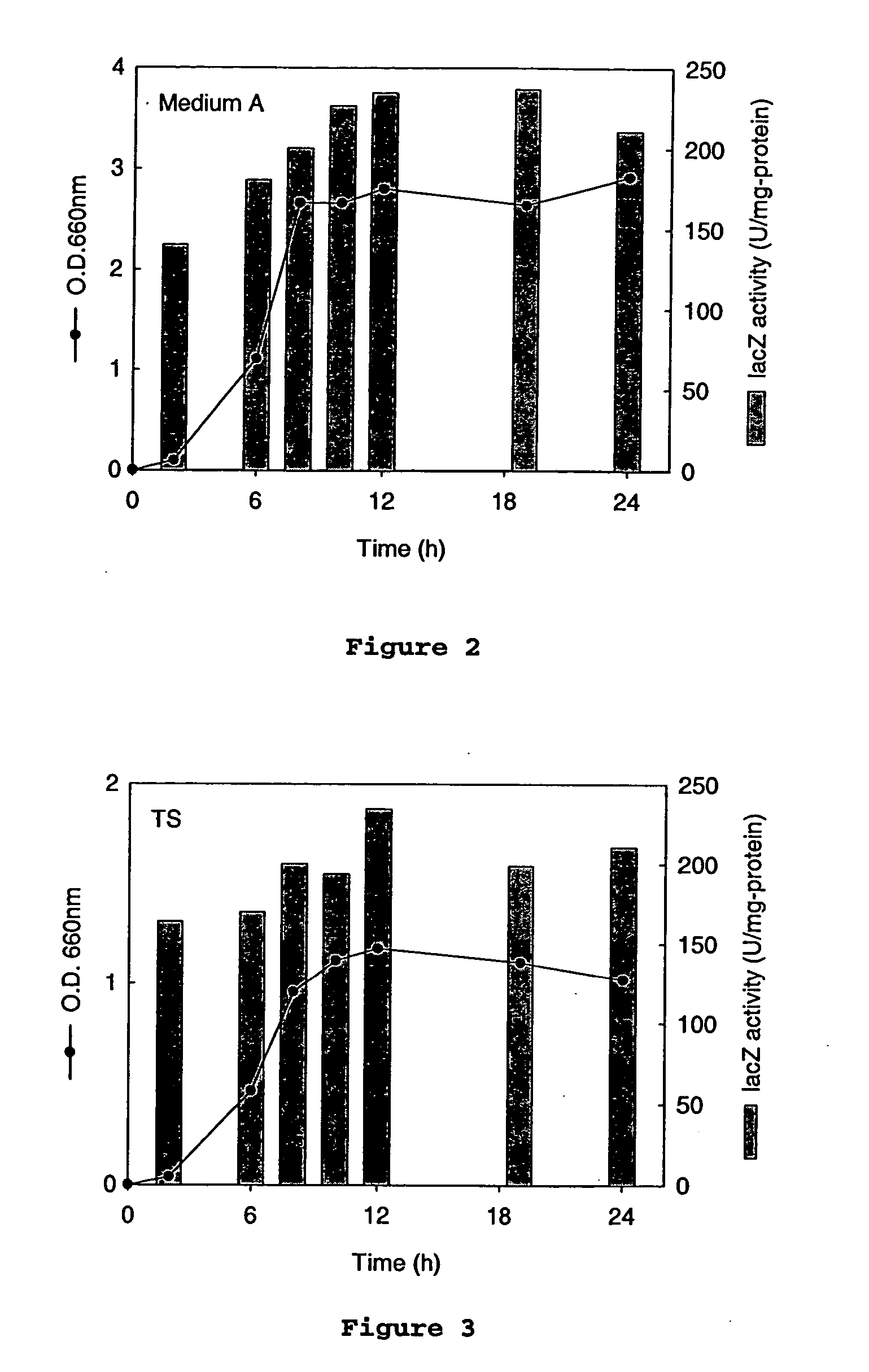 Actinobacillus succinogenes shuttle vector and methods of use