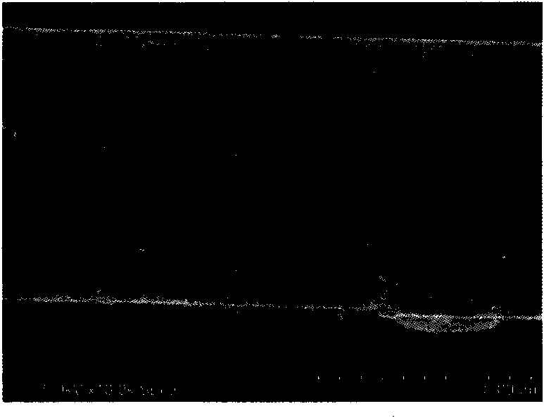 Preparation method of high-strength carbon fiber