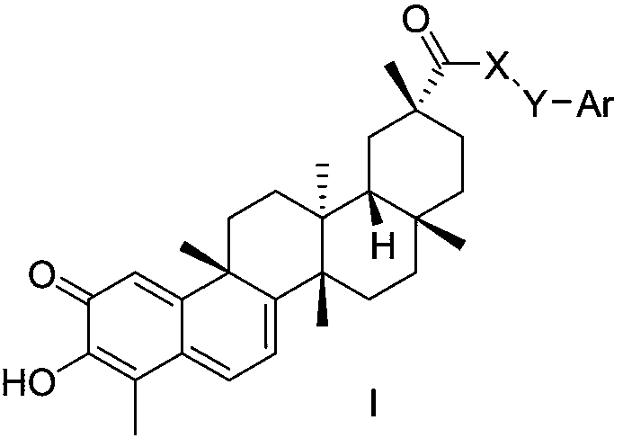 Tripterine derivative and application thereof