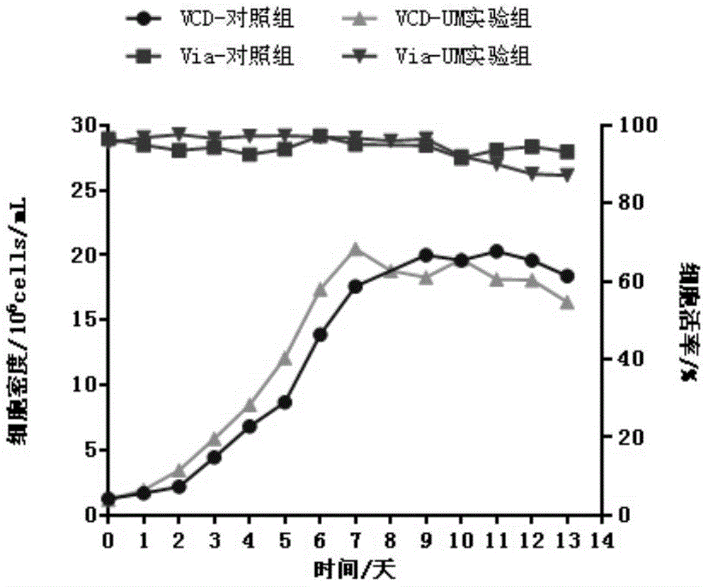 Mammalian cell culture technology for enhancing monoclonal antibody ADCC activity