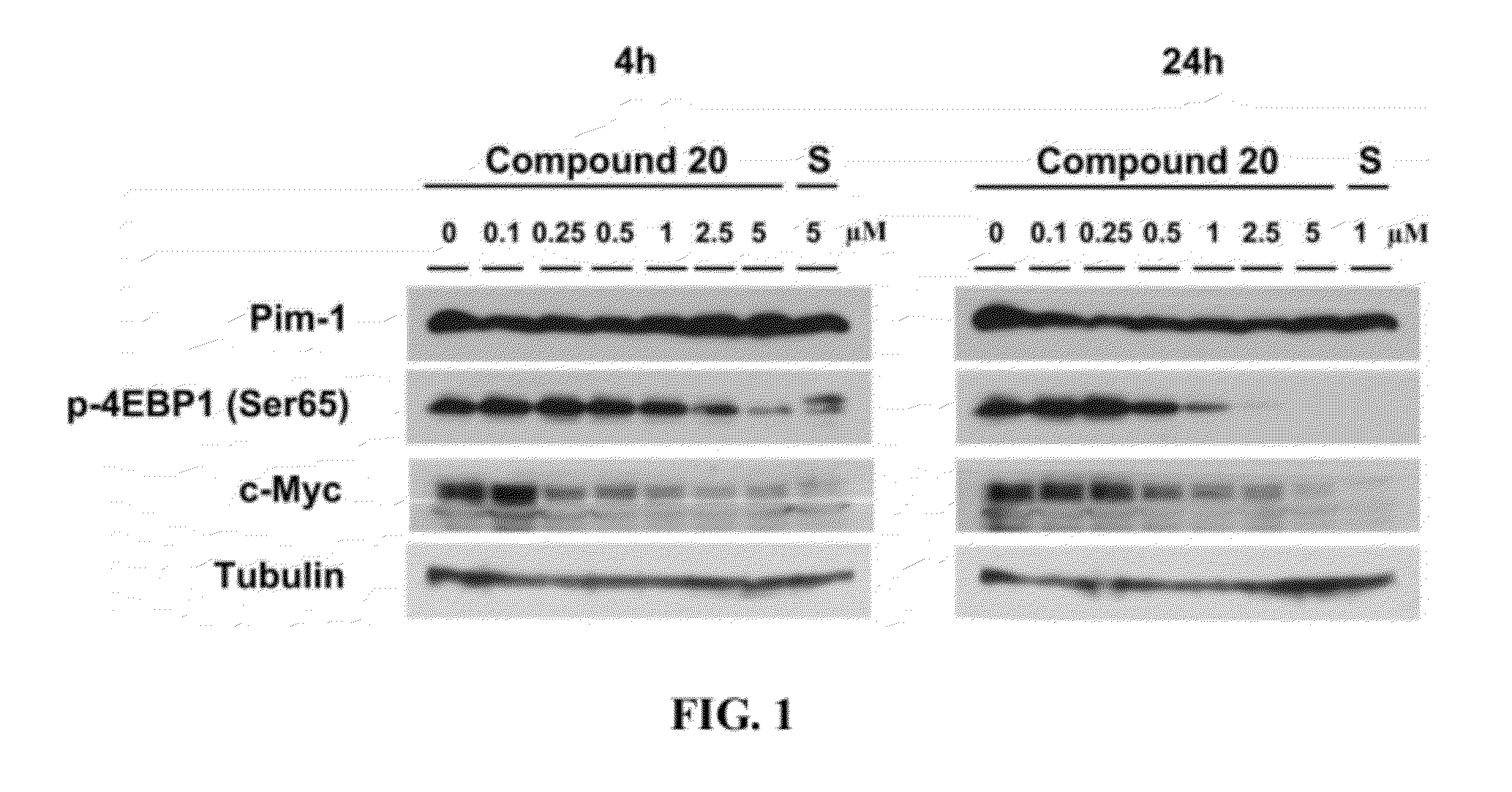 Compound, a process for its preparation, a pharmaceutical composition, use of a compound, a method for modulating or regulating serine/threonine kinases and a serine/threonine kinases modulating agent