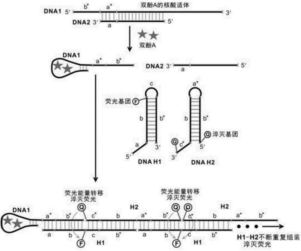 Bisphenol A detecting method and detecting kit based on dual-quenching-group nucleic acid self-assembling technology