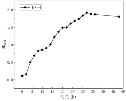 Geobacillus thermodenitrificans HX-4 as well as method for producing cellulase and application of geobacillus thermodenitrificans HX-4