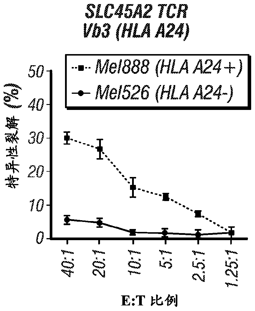 T cell receptors for immunotherapy