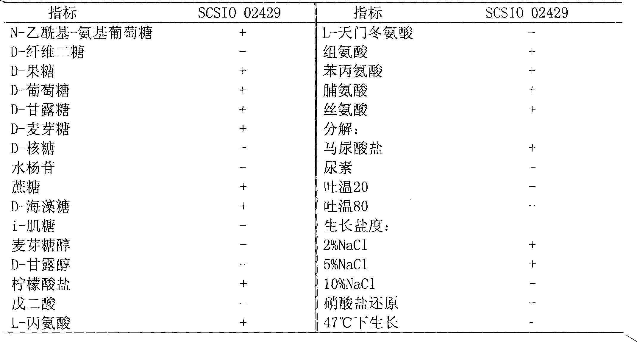 Ocean source Bacillus barbaricus SCSIO 02429 and method for preparing squid small peptide by using same