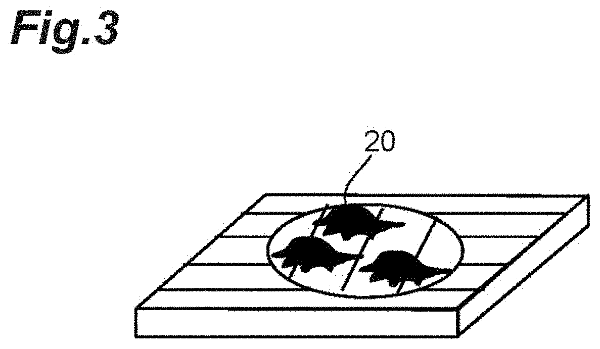 Cell culture substrate, method for producing cell culture substrate, and method for producing spheroids