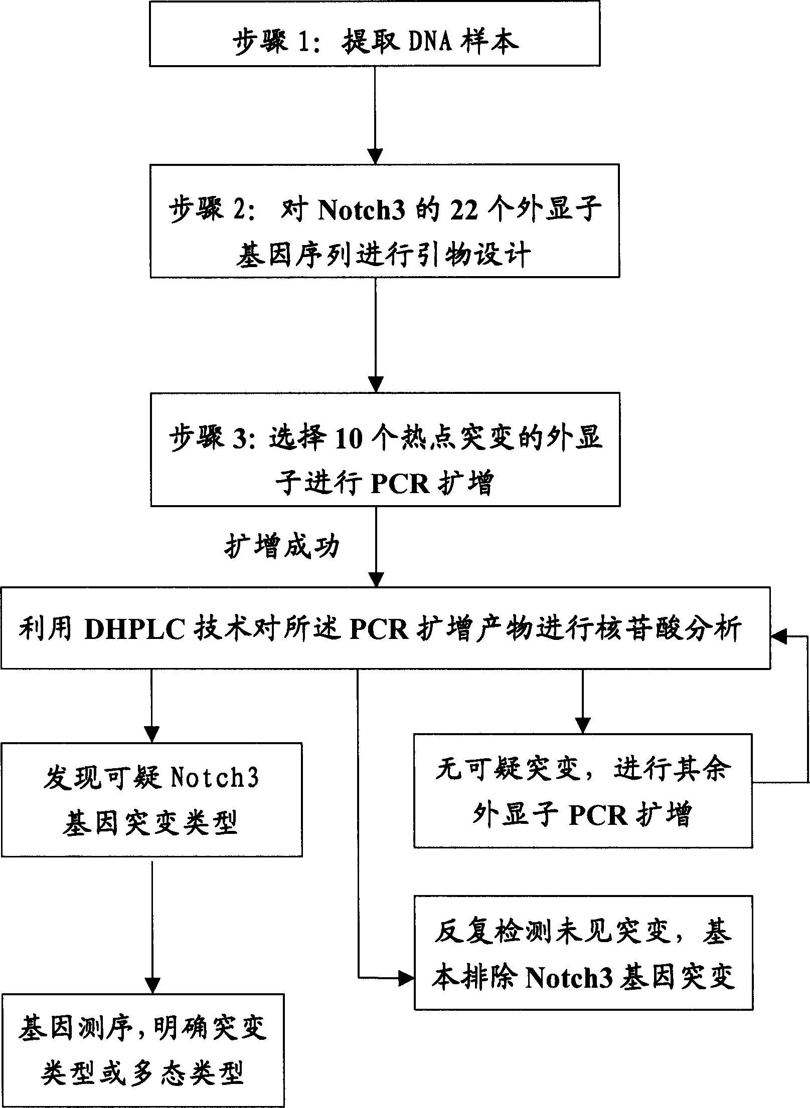 Gene mutation type and gene sequencing method