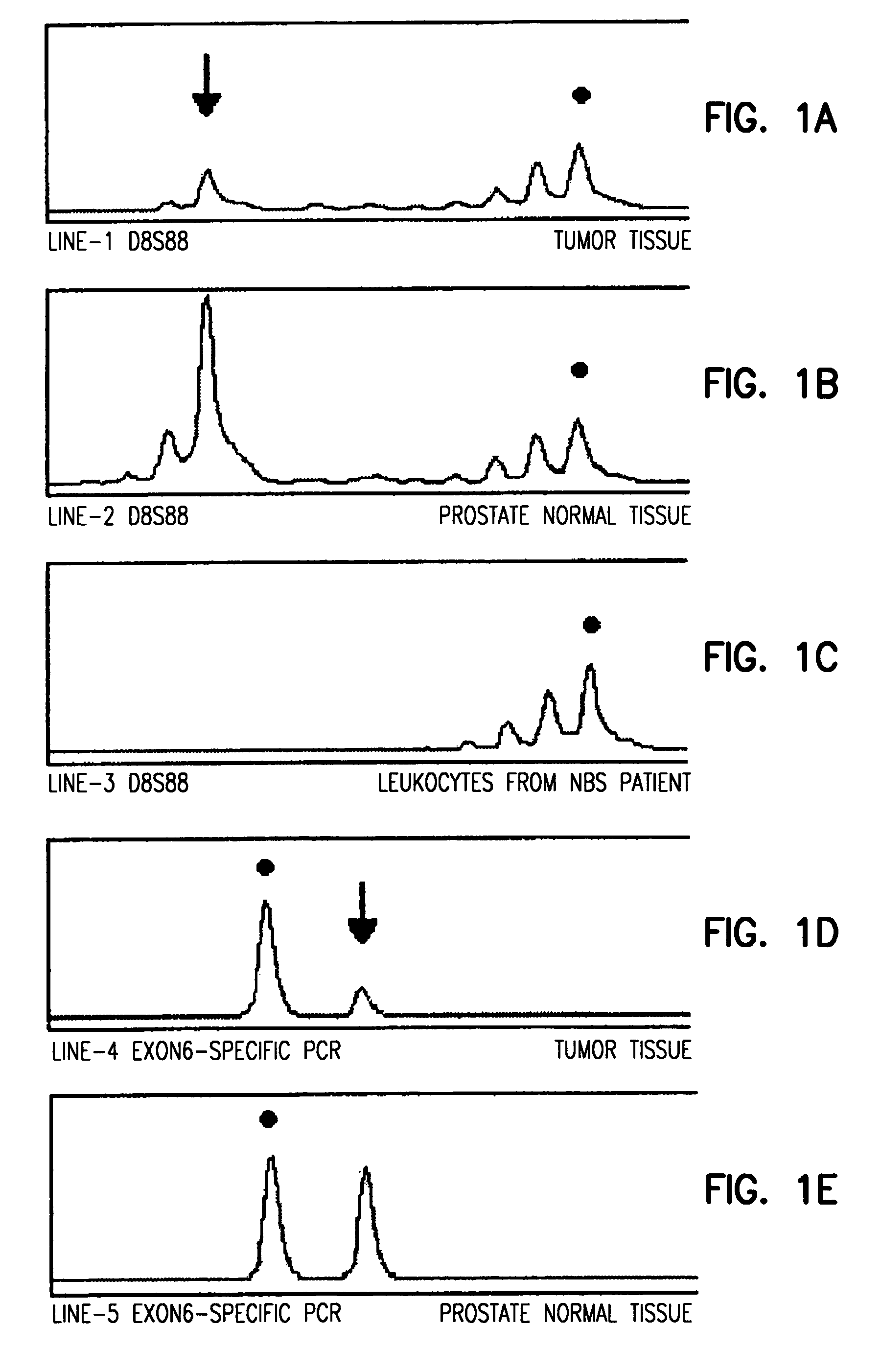 Determining a predisposition to cancer