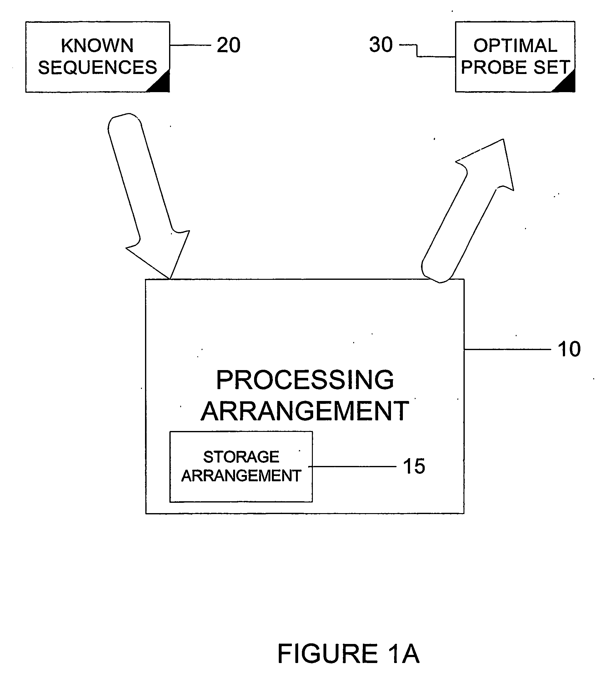 Methods, software arrangements, storage media, and systems for genotyping or haplotyping polymorphic genetic loci or strain identification