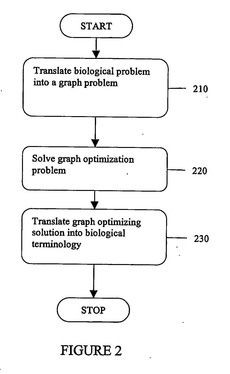 Methods, software arrangements, storage media, and systems for genotyping or haplotyping polymorphic genetic loci or strain identification