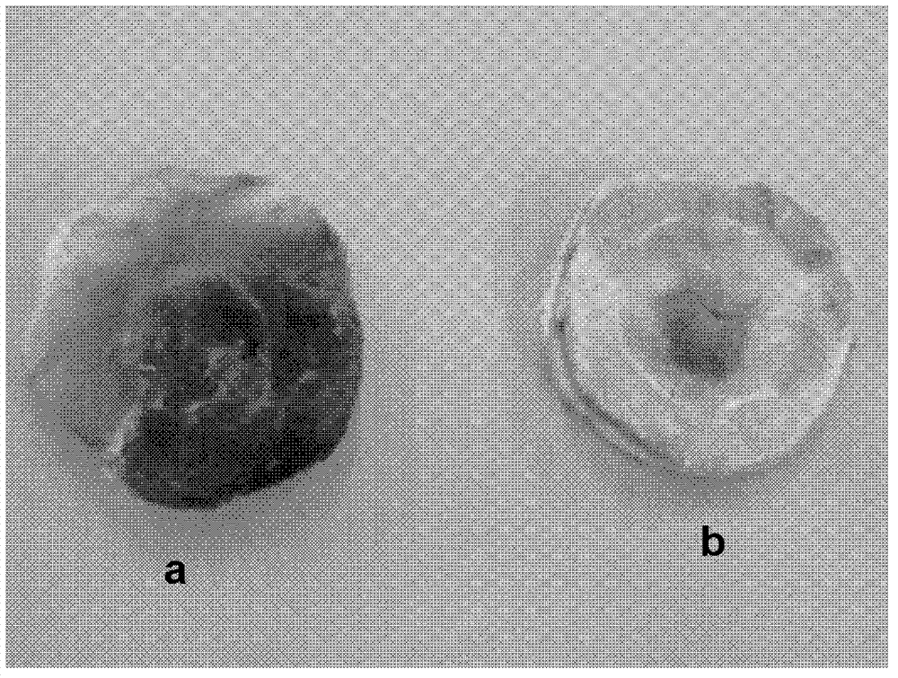 SiO2 aerogel/inorganic cotton compound thermal insulation felt and preparation method thereof