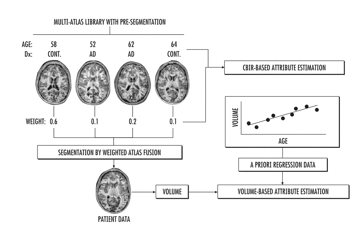 Direct estimation of patient attributes based on MRI brain atlases