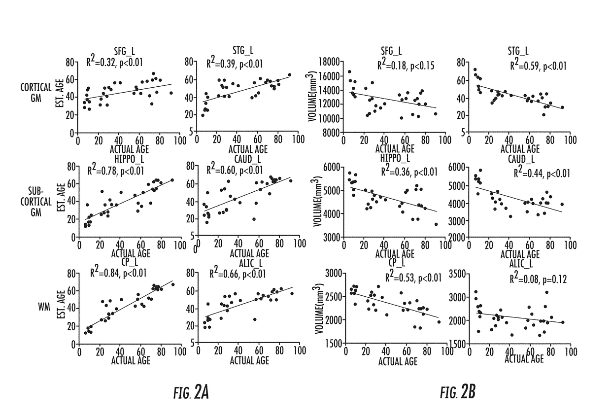 Direct estimation of patient attributes based on MRI brain atlases