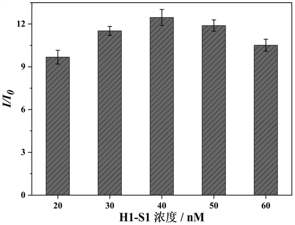 Probe group and kit for detecting aflatoxin B1 and application of probe group and kit