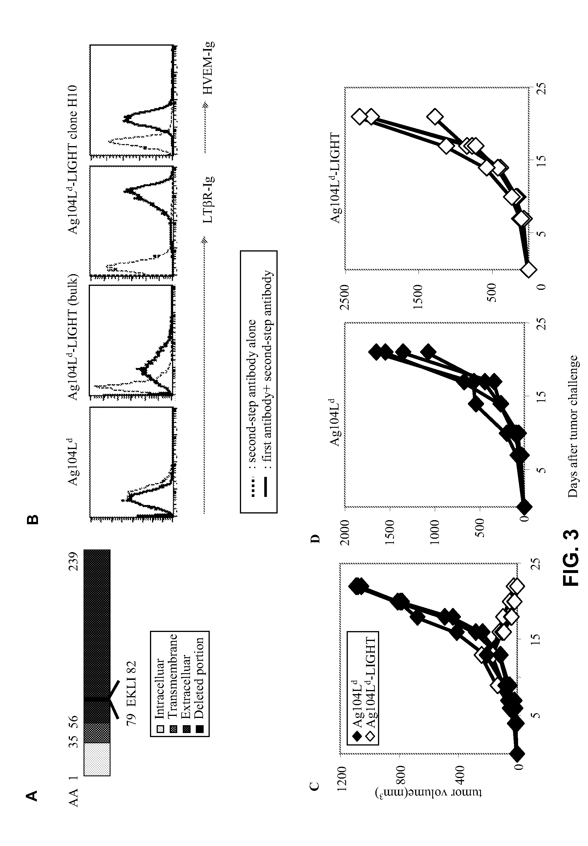 Increased T-cell tumor infiltration and eradication of metastases by mutant LIGHT