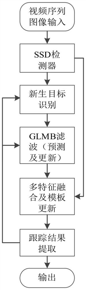 Multi-target tracking method for multi-Bernoulli video based on SSD detection and generalized labels