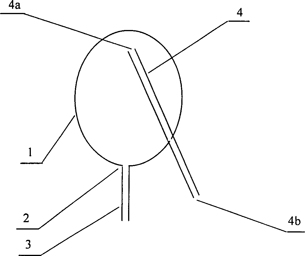 Container internal surface chemical vapor depositon coating method