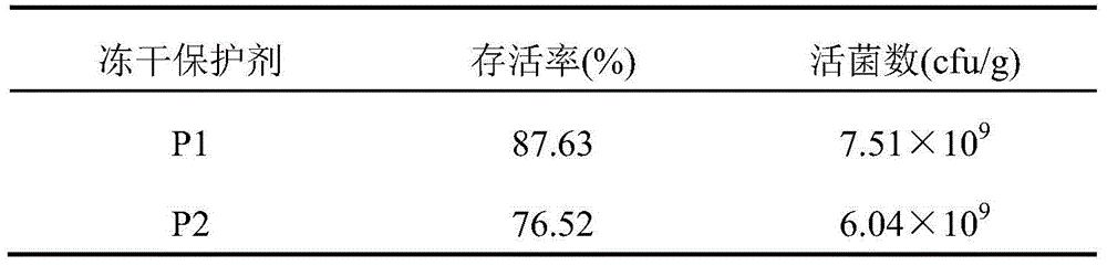 Leuconostoc mesenteroides freeze-dried preparation as well as production method and application of leuconostoc mesenteroides freeze-dried preparation