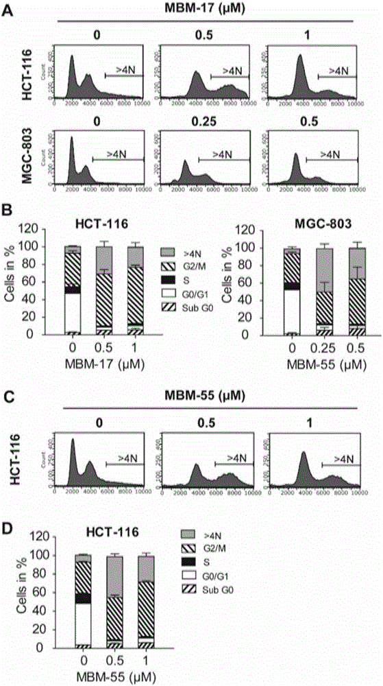 Imidazo[1,2-a]pyridine compound, and preparation method and applications thereof