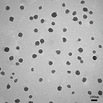 Method for preparing nano-drug common delivery system based on pectin and multi-arm polyethylene glycol